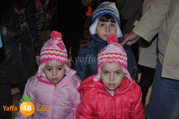 tree milad shajara (24).JPG